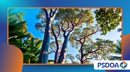 Rainbow Eucalyptus Trees: Nature’s Colorful Surprise