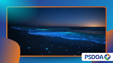 Bioluminescent Beaches: Nature’s Glowing Show