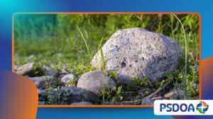 Living Rocks: The Breathing Stones of Romania