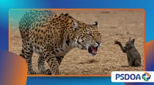 The Strangest Animal Behaviors in the Natural World