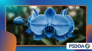 How Rare Plants Are Surviving in Extreme Environments