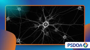 The Discovery of Mirror Neurons and Human Empathy