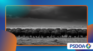 The Psychology Behind “Herd Mentality”