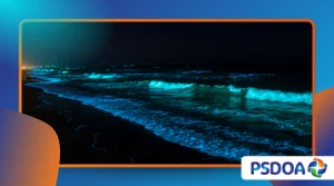 Bioluminescent Waves: Beaches That Glow at Night