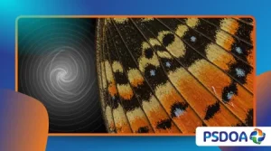 How Chaos Theory Explains Patterns in Nature