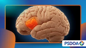 How Our Brain Copes With Loneliness