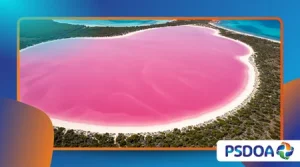 Lake Hillier: The Enigma of Australia’s Pink Lake