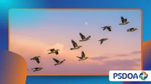 Quantum Biology: How Birds May Use Quantum Mechanics to Navigate