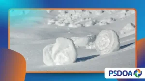 Snow Rollers: Self-Rolling Snowballs Formed by Wind