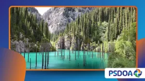 The Sinking Forest of Lake Kaindy: Trees Growing Underwater
