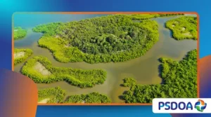 Floating Islands: Vegetation Rafts That Move With Wind and Current