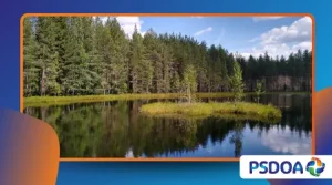 Floating Islands: Vegetation Rafts That Move With Wind and Current