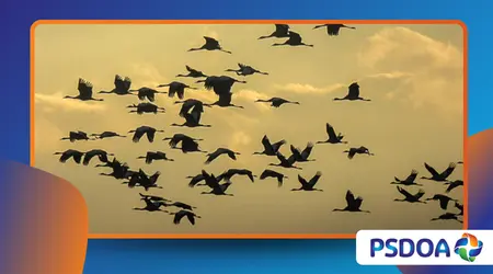 Cybernetics in Nature: Feedback Loops in the Animal Kingdom