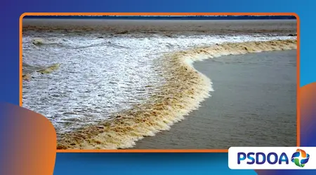 Tidal Bores: When Ocean Waves Travel Upriver