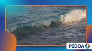 Tidal Bores: When Ocean Waves Travel Upriver