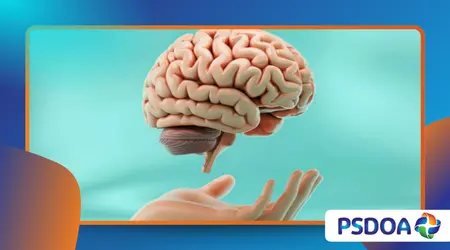 The Role of Fractals in Brain Function and Consciousness