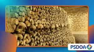 Secret Tunnels and Hidden Chambers in Historical Sites