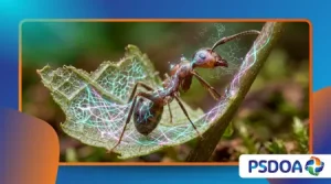 How Parasites Manipulate Host Behavior on a Molecular Level