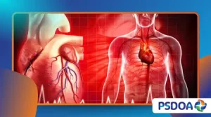 Xenotransplantation: The Reality of Using Animal Organs in Humans