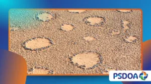Fairy Circles: The Mysterious Perfect Circles in Desert Grass