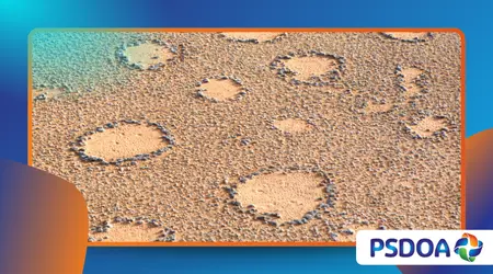 Fairy Circles: The Mysterious Perfect Circles in Desert Grass