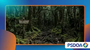 Aokigahara History: Japan’s Forest Linked to Ancient Myths