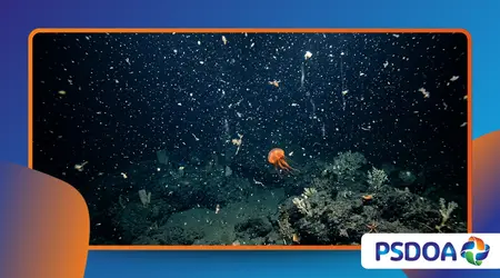 Marine Snow: The Strange Underwater Blizzard in Deep Oceans