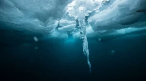 Brinicles: The Underwater ‘Finger of Death’ Freezing the Seafloor