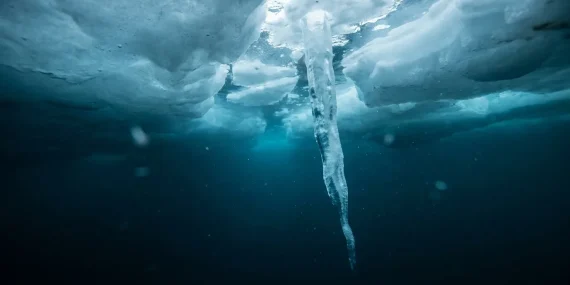 Brinicles: The Underwater ‘Finger of Death’ Freezing the Seafloor